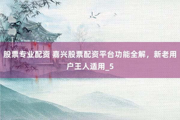 股票专业配资 嘉兴股票配资平台功能全解，新老用户王人适用_5