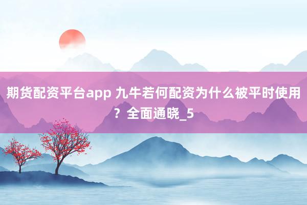 期货配资平台app 九牛若何配资为什么被平时使用？全面通晓_5