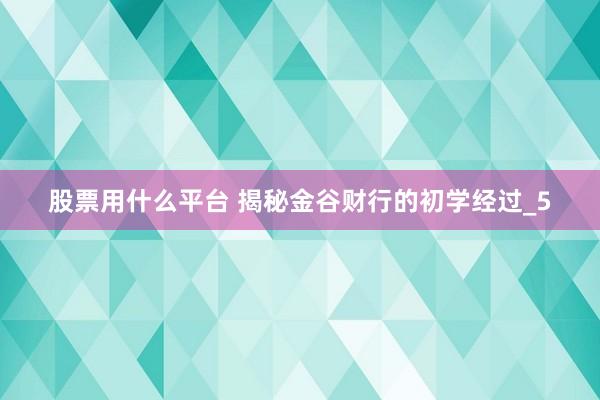 股票用什么平台 揭秘金谷财行的初学经过_5