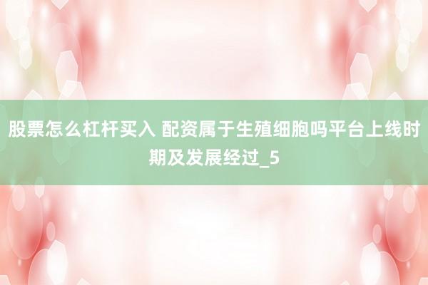 股票怎么杠杆买入 配资属于生殖细胞吗平台上线时期及发展经过_5