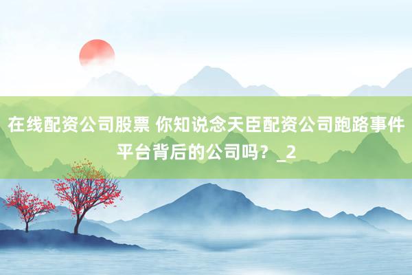在线配资公司股票 你知说念天臣配资公司跑路事件平台背后的公司吗?_2