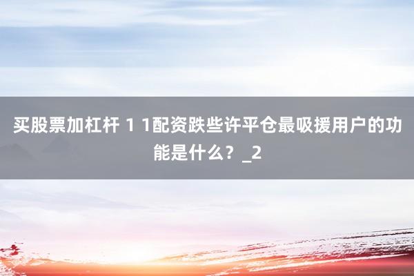 买股票加杠杆 1 1配资跌些许平仓最吸援用户的功能是什么？_2