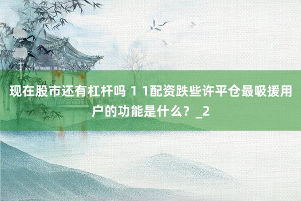 现在股市还有杠杆吗 1 1配资跌些许平仓最吸援用户的功能是什么？_2
