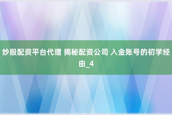 炒股配资平台代理 揭秘配资公司 入金账号的初学经由_4
