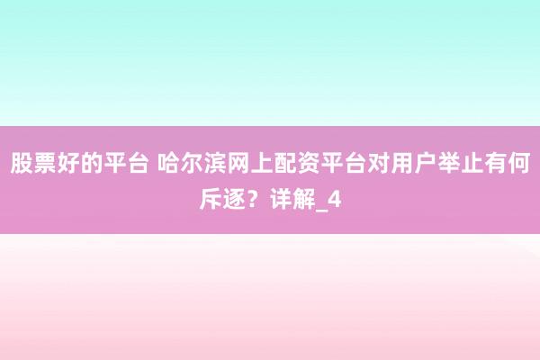 股票好的平台 哈尔滨网上配资平台对用户举止有何斥逐？详解_4