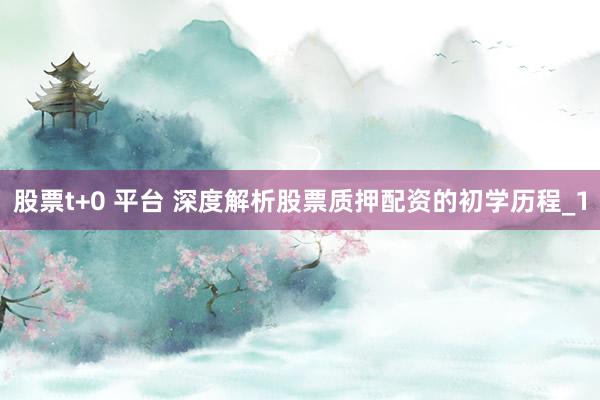 股票t+0 平台 深度解析股票质押配资的初学历程_1
