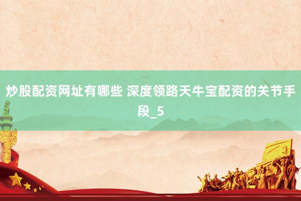炒股配资网址有哪些 深度领路天牛宝配资的关节手段_5