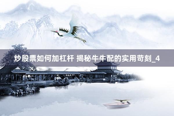 炒股票如何加杠杆 揭秘牛牛配的实用苛刻_4