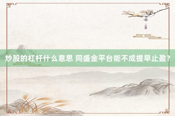 炒股的杠杆什么意思 同盛金平台能不成提早止盈？