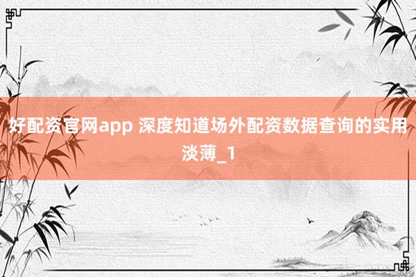 好配资官网app 深度知道场外配资数据查询的实用淡薄_1