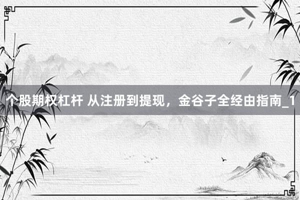 个股期权杠杆 从注册到提现,金谷子全经由指南_1