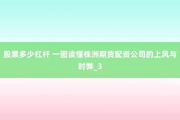 股票多少杠杆 一图读懂株洲期货配资公司的上风与时弊_3