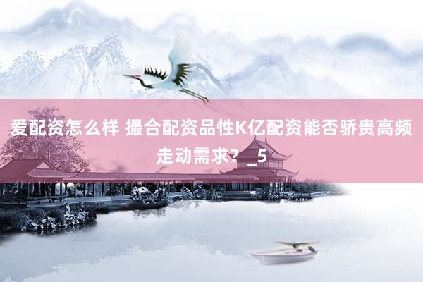 爱配资怎么样 撮合配资品性K亿配资能否骄贵高频走动需求？_5
