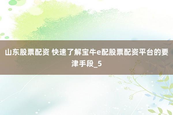 山东股票配资 快速了解宝牛e配股票配资平台的要津手段_5