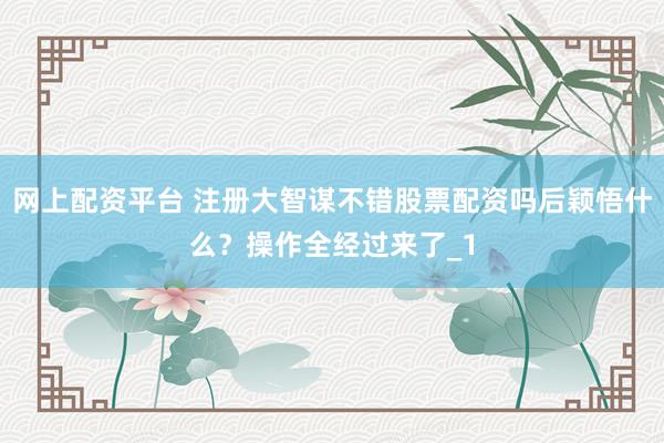 网上配资平台 注册大智谋不错股票配资吗后颖悟什么？操作全经过来了_1