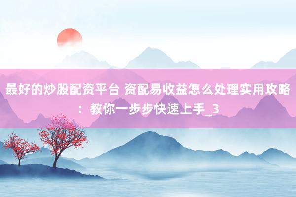 最好的炒股配资平台 资配易收益怎么处理实用攻略：教你一步步快速上手_3