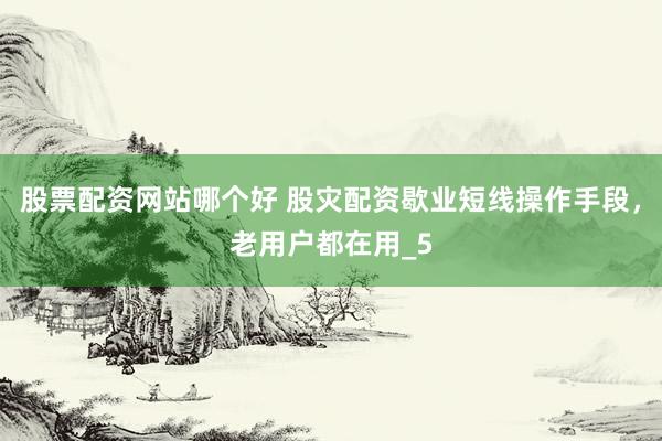股票配资网站哪个好 股灾配资歇业短线操作手段，老用户都在用_5
